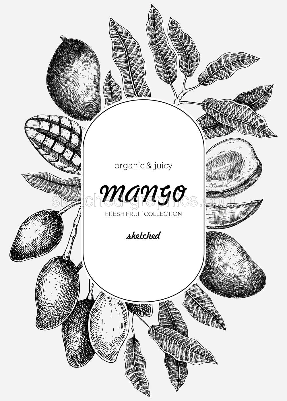 Fruit design template. Realistic mango hand-drawn vector illustration. Exotic fruit, mango tree branches, leaves sketches. Vintage frame, label, banner, packaging, print. Summer design element Illustration
